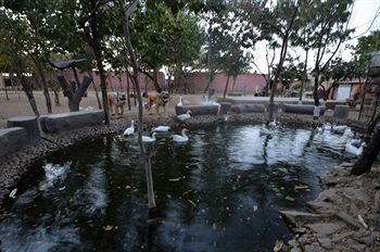 Swad Ri Dhani Ajmer Bagian luar foto